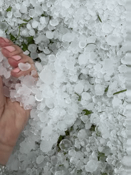 8xbcfi.gif