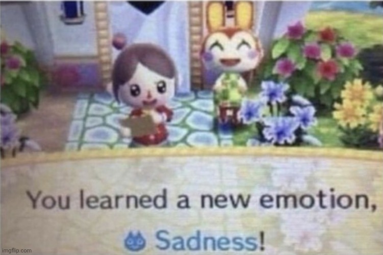 You Learned A New Emotion, Sadness! | image tagged in you learned a new emotion sadness | made w/ Imgflip meme maker