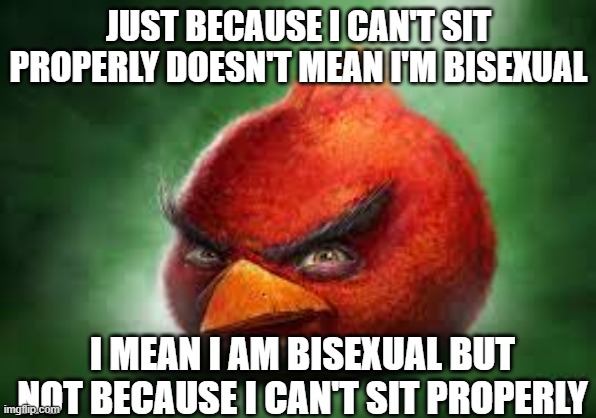 Realistic Red Angry Birds | JUST BECAUSE I CAN'T SIT PROPERLY DOESN'T MEAN I'M BISEXUAL; I MEAN I AM BISEXUAL BUT NOT BECAUSE I CAN'T SIT PROPERLY | image tagged in realistic red angry birds | made w/ Imgflip meme maker