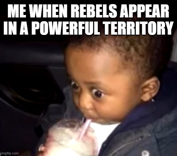 Dictators: No Peace be like | ME WHEN REBELS APPEAR IN A POWERFUL TERRITORY | image tagged in dnp,drew durnil,strategy,dictators no peace | made w/ Imgflip meme maker