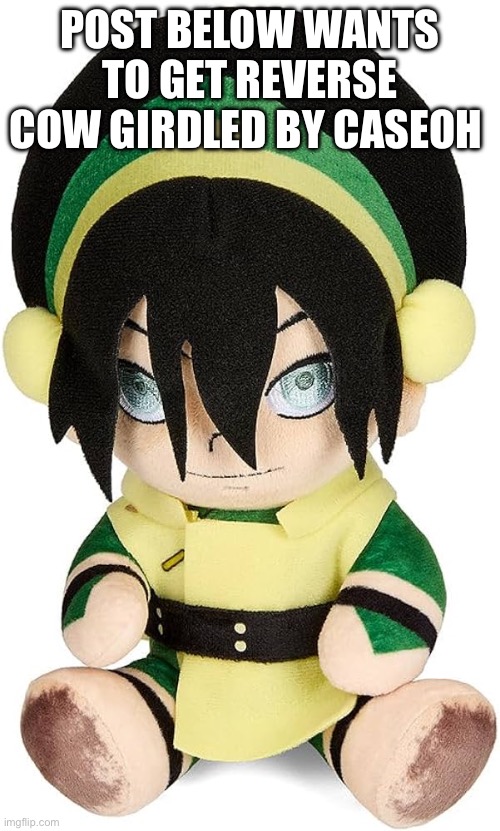 Sex to-I mean Toph Plush | POST BELOW WANTS TO GET REVERSE COW GIRDLED BY CASEOH | image tagged in sex to-i mean toph plush | made w/ Imgflip meme maker