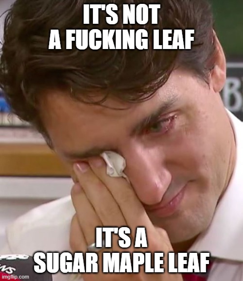 A Fucking Leaf | IT'S NOT A FUCKING LEAF; IT'S A SUGAR MAPLE LEAF | image tagged in justin trudeau crying | made w/ Imgflip meme maker