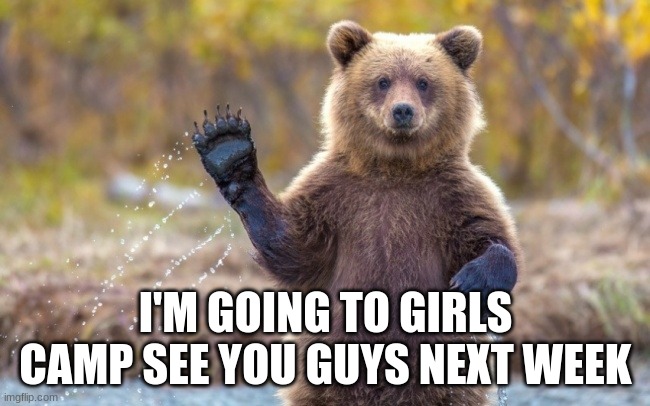 Bye | I'M GOING TO GIRLS CAMP SEE YOU GUYS NEXT WEEK | image tagged in bye bye bear,camp | made w/ Imgflip meme maker