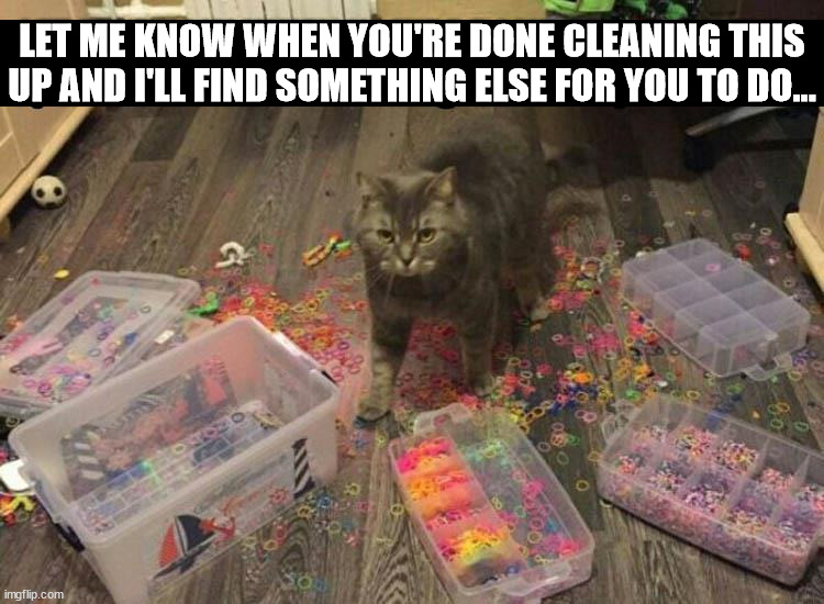 Cleanup on Aisle 1 and 2 and 3 and .... | LET ME KNOW WHEN YOU'RE DONE CLEANING THIS
UP AND I'LL FIND SOMETHING ELSE FOR YOU TO DO... | image tagged in cats | made w/ Imgflip meme maker