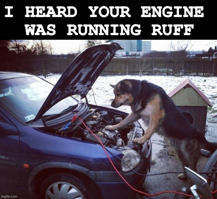 Fix-it dog | I HEARD YOUR ENGINE 
WAS RUNNING RUFF | image tagged in dogs | made w/ Imgflip meme maker