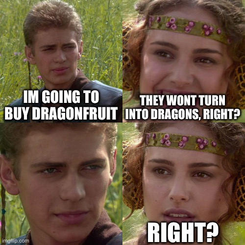 don’t you see the name? | IM GOING TO BUY DRAGONFRUIT; THEY WONT TURN INTO DRAGONS, RIGHT? RIGHT? | image tagged in anakin padme 4 panel | made w/ Imgflip meme maker