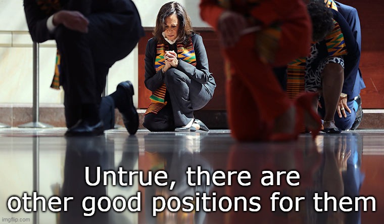 Untrue, there are other good positions for them | made w/ Imgflip meme maker