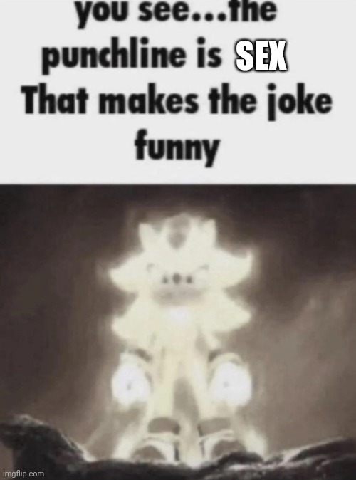 You see the punchline is that makes the joke funny shadow | SEX | image tagged in you see the punchline is that makes the joke funny shadow | made w/ Imgflip meme maker