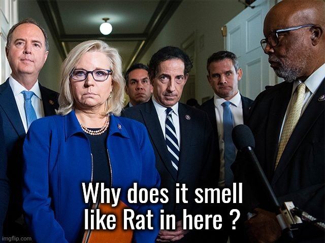 J6 Committee | Why does it smell like Rat in here ? | image tagged in j6 committee | made w/ Imgflip meme maker