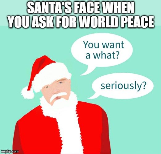 world peace | SANTA'S FACE WHEN YOU ASK FOR WORLD PEACE | image tagged in memes | made w/ Imgflip meme maker