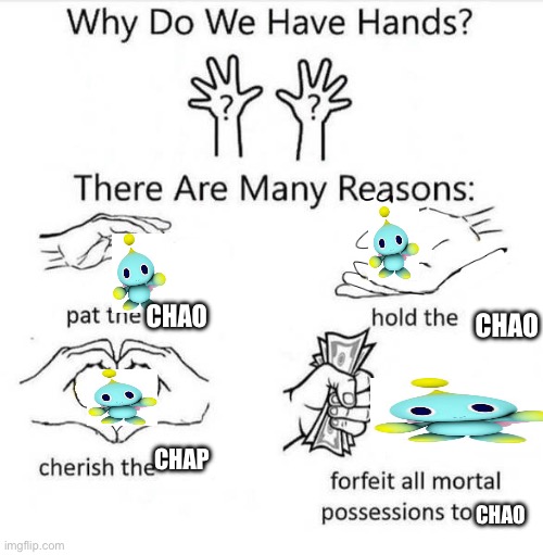 Why Do We Have Hands - Imgflip