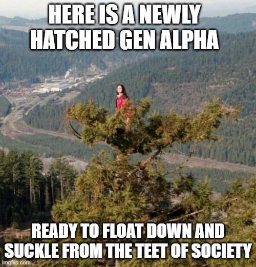 Gen Alpha | HERE IS A NEWLY HATCHED GEN ALPHA; READY TO FLOAT DOWN AND SUCKLE FROM THE TEET OF SOCIETY | image tagged in new generation,gen alpha,newly hatched | made w/ Imgflip meme maker