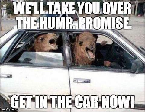 Hump Day | WE'LL TAKE YOU OVER THE HUMP. PROMISE. GET IN THE CAR NOW! | image tagged in memes,humor,lol | made w/ Imgflip meme maker