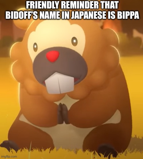 Bippa | FRIENDLY REMINDER THAT BIDOFF’S NAME IN JAPANESE IS BIPPA | image tagged in master bidoogway | made w/ Imgflip meme maker