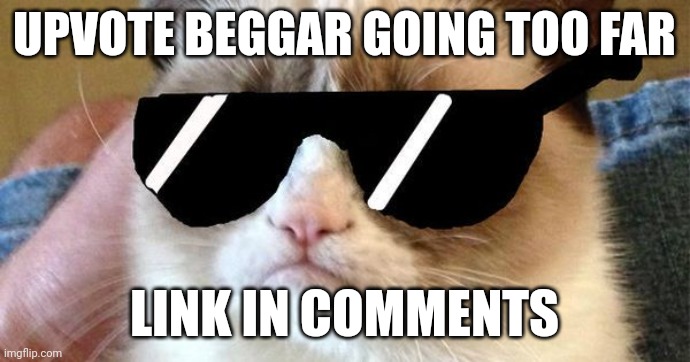 Grumy Cat Deal With It | UPVOTE BEGGAR GOING TOO FAR; LINK IN COMMENTS | image tagged in grumy cat deal with it | made w/ Imgflip meme maker