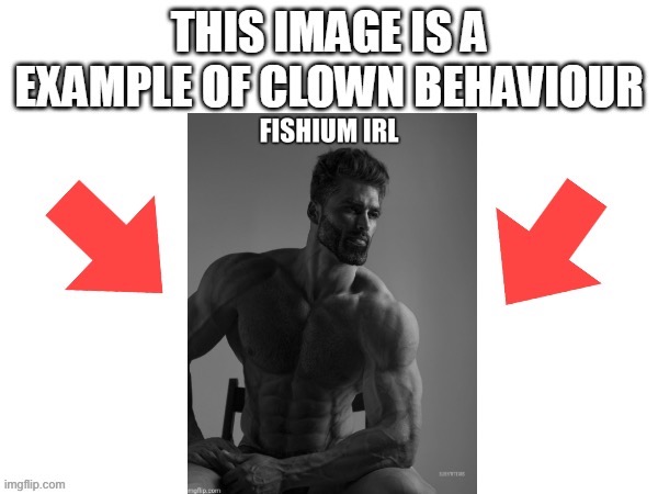 This image is a example of clown behaviour | image tagged in this image is a example of clown behaviour | made w/ Imgflip meme maker