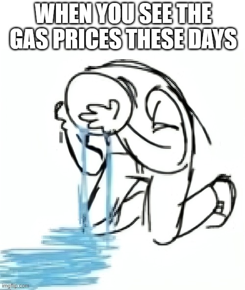 gas prices | WHEN YOU SEE THE GAS PRICES THESE DAYS | image tagged in memes | made w/ Imgflip meme maker
