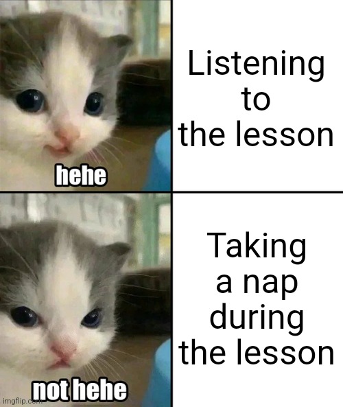 Class poster | Listening to the lesson; Taking a nap during the lesson | image tagged in cute cat hehe and not hehe | made w/ Imgflip meme maker