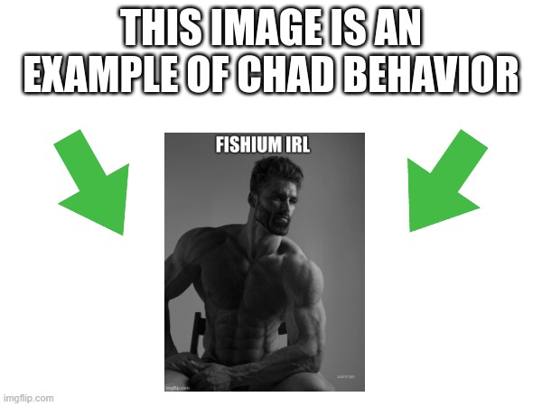 image tagged in this image is an example of chad behavior | made w/ Imgflip meme maker