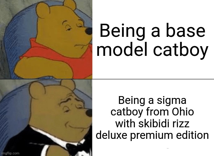 brain rotted | Being a base model catboy; Being a sigma catboy from Ohio with skibidi rizz deluxe premium edition | image tagged in memes,tuxedo winnie the pooh,bing chilling,catboy,uwu,skibidi toilet | made w/ Imgflip meme maker