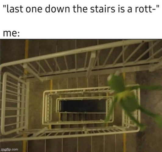 …And Splat!!! | image tagged in memes,animals,funny,relatable,true | made w/ Imgflip meme maker