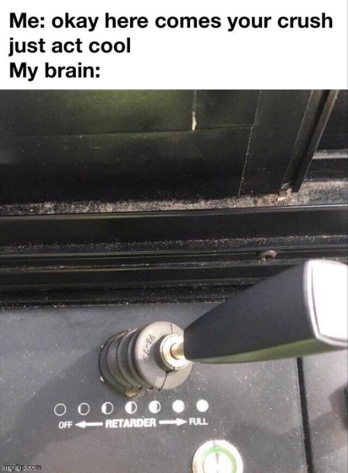 Shift your inner retard to full gear! | image tagged in memes,funny,relatable,crush | made w/ Imgflip meme maker