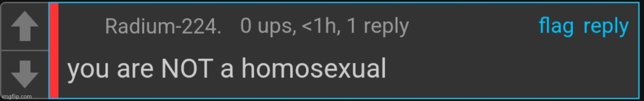 Gay | image tagged in radium you are not a homosexual | made w/ Imgflip meme maker