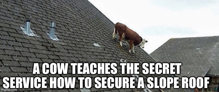 Slope Roof | A COW TEACHES THE SECRET SERVICE HOW TO SECURE A SLOPE ROOF | image tagged in donald trump,trump,secret service,politics | made w/ Imgflip meme maker