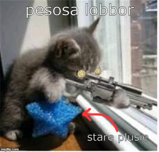 cats with guns | pesosa lobbor; stare plusie | image tagged in cats with guns | made w/ Imgflip meme maker