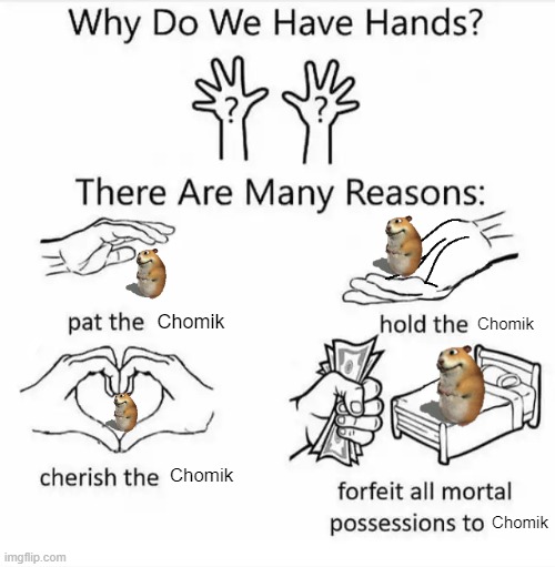 Chomik | Chomik; Chomik; Chomik; Chomik | image tagged in why do we have hands all blank | made w/ Imgflip meme maker