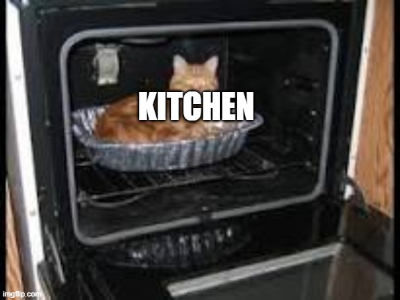 Cat in oven | KITCHEN | image tagged in cat in oven | made w/ Imgflip meme maker