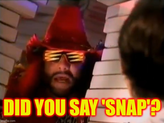 DID YOU SAY 'SNAP'? | made w/ Imgflip meme maker