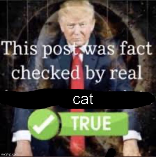 This post was fact-checked by real American patriots. | cat | image tagged in this post was fact-checked by real american patriots | made w/ Imgflip meme maker