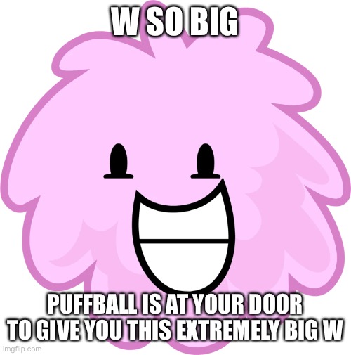 Puffball | W SO BIG PUFFBALL IS AT YOUR DOOR TO GIVE YOU THIS EXTREMELY BIG W | image tagged in puffball | made w/ Imgflip meme maker