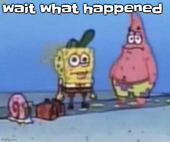sponge and pat | wait what happened | image tagged in sponge and pat | made w/ Imgflip meme maker