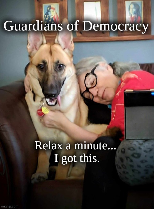 Guardians of Democracy | Guardians of Democracy; Relax a minute...  
I got this. | image tagged in german shepherd | made w/ Imgflip meme maker