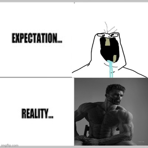 Expectation vs Reality | image tagged in expectation vs reality | made w/ Imgflip meme maker