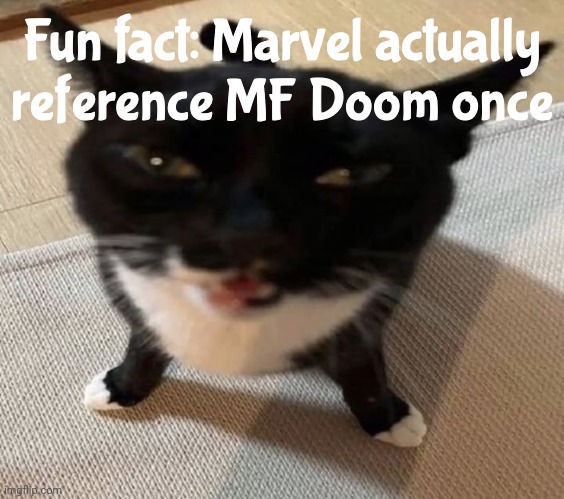 Cat of anger | Fun fact: Marvel actually reference MF Doom once | image tagged in cat of anger | made w/ Imgflip meme maker