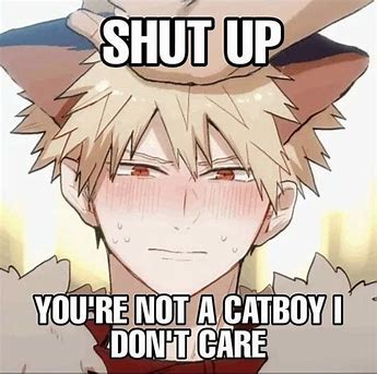 High Quality Shut Up You're Not A Catboy I Don't Care Blank Meme Template
