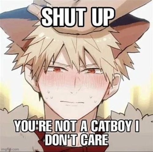 image tagged in shut up you're not a catboy i don't care | made w/ Imgflip meme maker