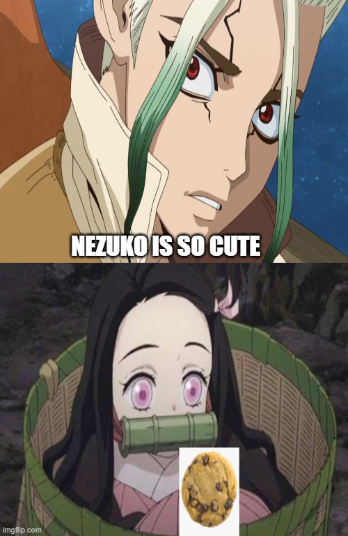 dr stone loves nezuko | NEZUKO IS SO CUTE | image tagged in stoned,doctor,anime,demon slayer,nezuko,anime meme | made w/ Imgflip meme maker