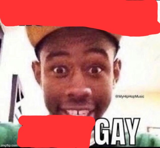 BRO WE GET IT YOU'RE GAY | image tagged in bro we get it you're gay | made w/ Imgflip meme maker