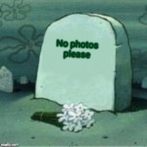 Here Lies X | No photos please | image tagged in here lies x | made w/ Imgflip meme maker