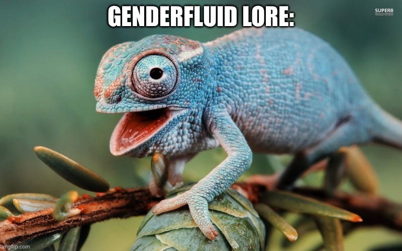 Chameleon | GENDERFLUID LORE: | image tagged in chameleon | made w/ Imgflip meme maker
