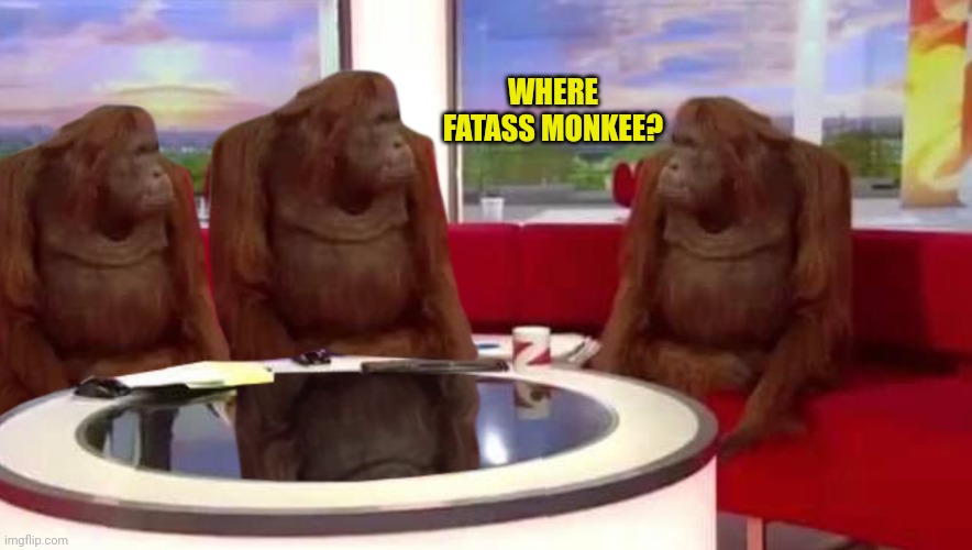 WHERE FATASS MONKEE? | image tagged in where monkey | made w/ Imgflip meme maker