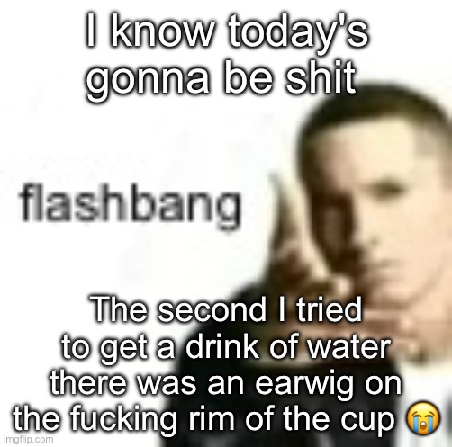 theyve gotta be god's most useless creation | I know today's gonna be shit; The second I tried to get a drink of water there was an earwig on the fucking rim of the cup 😭 | image tagged in flashbang | made w/ Imgflip meme maker