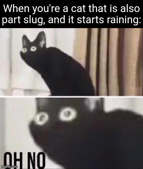 Should get to shelter. NOW! | When you're a cat that is also part slug, and it starts raining: | image tagged in oh no cat,rainworld | made w/ Imgflip meme maker
