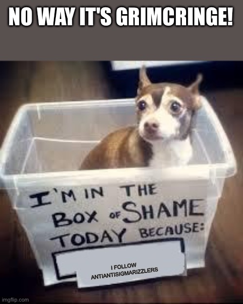 box of shame dog | I FOLLOW ANTIANTISIGMARIZZLERS NO WAY IT'S GRIMCRINGE! | image tagged in box of shame dog | made w/ Imgflip meme maker