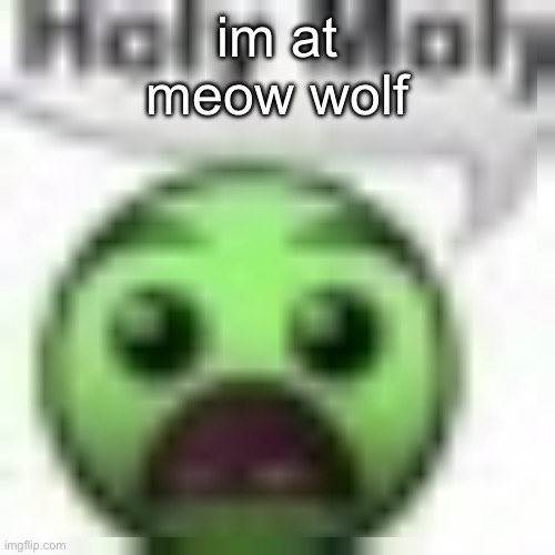 holy moly | im at meow wolf | image tagged in holy moly | made w/ Imgflip meme maker