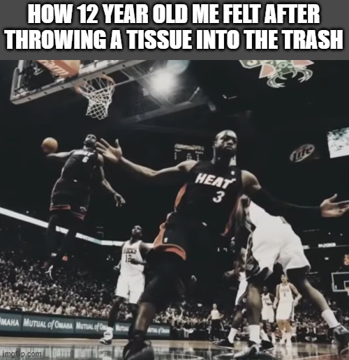 i think everyone can relate to this feeling | HOW 12 YEAR OLD ME FELT AFTER THROWING A TISSUE INTO THE TRASH | image tagged in lebron james | made w/ Imgflip meme maker